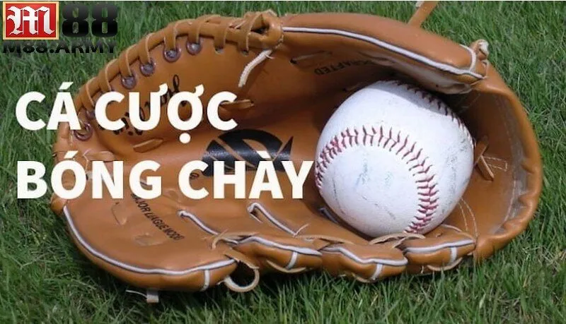 Bí quyết cá cược bóng chày chi tiết nhất